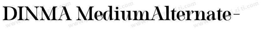 DINMA MediumAlternate字体转换